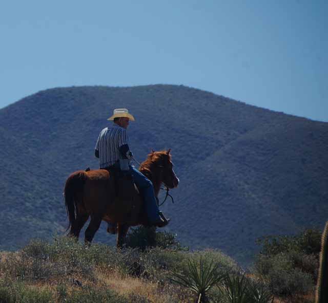 horseback riding the wilderness